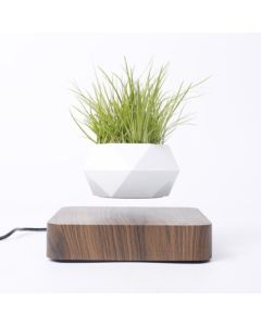 Kelluva kukkaruukku, ilmabonsai, tumma puu