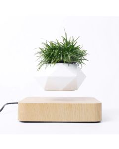 Kelluva kukkaruukku, ilmabonsai, vaaleaa puuta